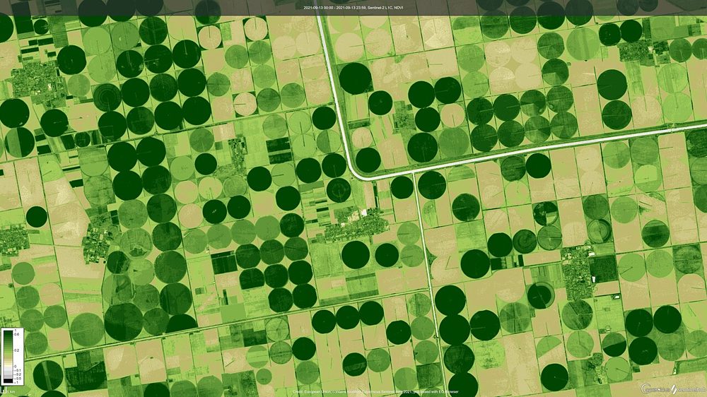 Sentinel-2 Derived Vegetation Index Product (Analysis-ready) thumbnail 2