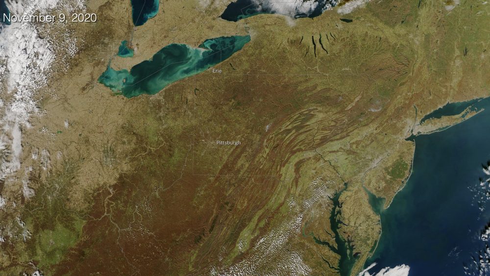 MODIS (Terra/Aqua) thumbnail 2